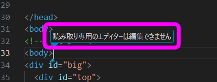 読み取り専用のエディタは編集できません